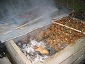 bild (4)